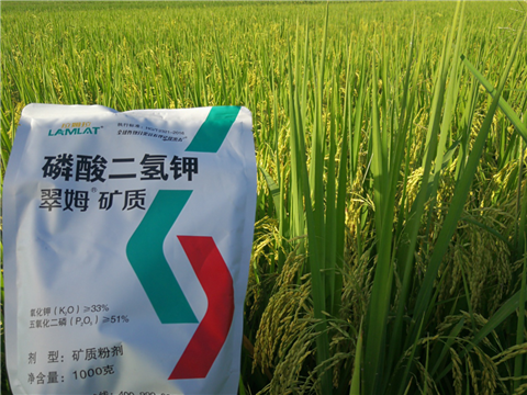 葉面肥，水稻灌漿肥，拉姆拉